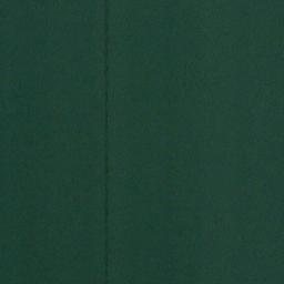 Satellite imagery of Punta Canel, CL