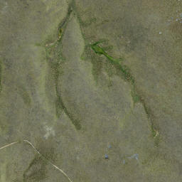 Satellite imagery of Castle Rock, NZ