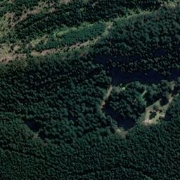 Satellite imagery of Shag Point/Matakaea, NZ