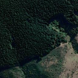 Satellite imagery of Shag Point/Matakaea, NZ