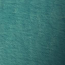 Satellite imagery of Shag Point, NZ