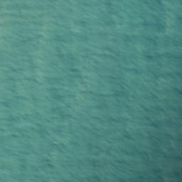 Satellite imagery of Shag Point, NZ