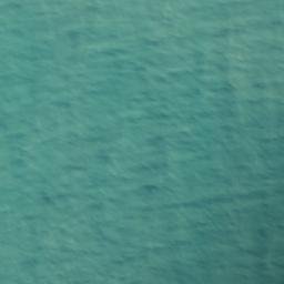 Satellite imagery of Shag Point, NZ
