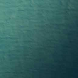 Satellite imagery of Shag Point, NZ