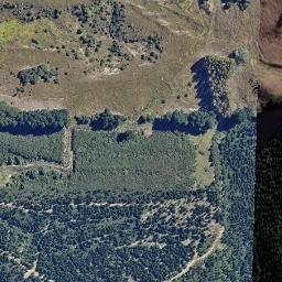 Satellite imagery of Sir John McKenzie Monument, NZ
