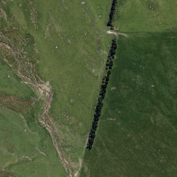 Satellite imagery of The Big Rock, NZ