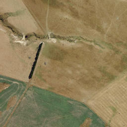 Satellite imagery of Paddys Rock, NZ