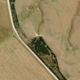 Satellite imagery of Paddys Rock, NZ