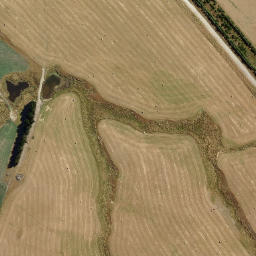 Satellite imagery of Paddys Rock, NZ