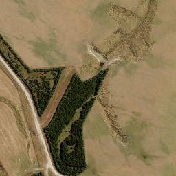 Satellite imagery of Paddys Rock, NZ