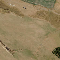 Satellite imagery of Paddys Rock, NZ