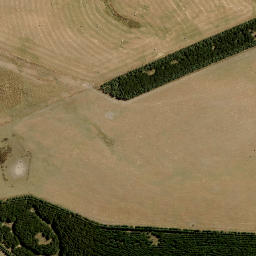 Satellite imagery of Paddys Rock, NZ