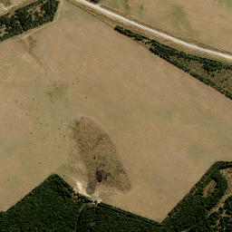 Satellite imagery of Paddys Rock, NZ