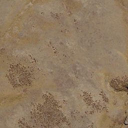 Satellite imagery of Cave Rock, NZ