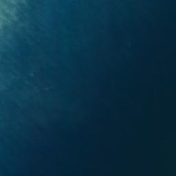 Satellite imagery of Bobbys Head, NZ