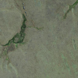 Satellite imagery of Camp Rocks, NZ