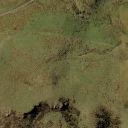 Satellite imagery of Ram Rock, NZ