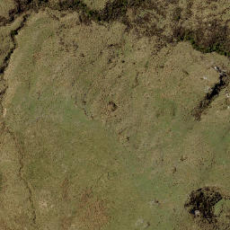 Satellite imagery of Ram Rock, NZ