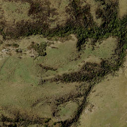 Satellite imagery of Ram Rock, NZ