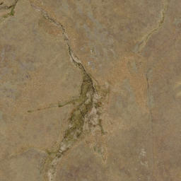 Satellite imagery of Sentinel Rocks, NZ