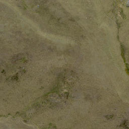 Satellite imagery of Passage Rock, NZ