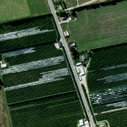 Satellite imagery of Dumbarton Rock, NZ