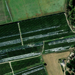 Satellite imagery of Dumbarton Rock, NZ