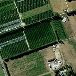 Satellite imagery of Dumbarton Rock, NZ
