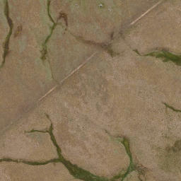 Satellite imagery of Sentinel Rocks, NZ
