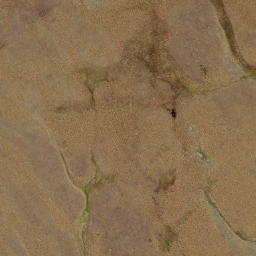 Satellite imagery of Sentinel Rocks, NZ