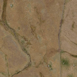 Satellite imagery of Sentinel Rocks, NZ