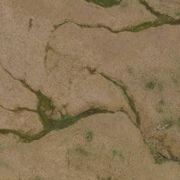 Satellite imagery of Sentinel Rocks, NZ