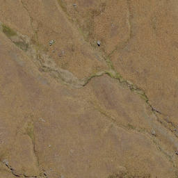 Satellite imagery of Sentinel Rocks, NZ