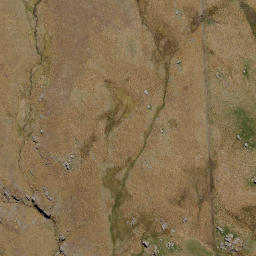 Satellite imagery of Sentinel Rocks, NZ