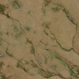 Satellite imagery of Sentinel Rocks, NZ