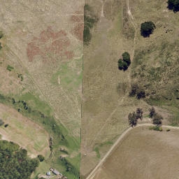 Satellite imagery of Cornish Head, NZ