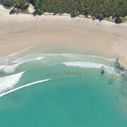 Satellite imagery of Cornish Head, NZ