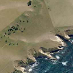 Satellite imagery of Cornish Head, NZ