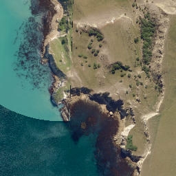 Satellite imagery of Cornish Head, NZ
