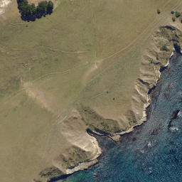 Satellite imagery of Cornish Head, NZ