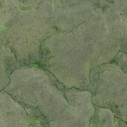 Satellite imagery of Lammerlaw Rock, NZ