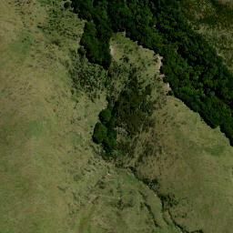 Satellite imagery of The Falkans Faces, NZ