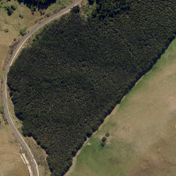 Satellite imagery of Brinns Point, NZ