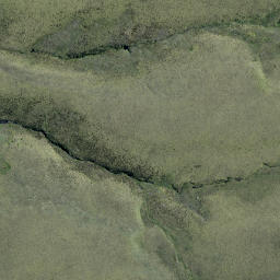Satellite imagery of Carsons Rock, NZ