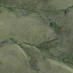 Satellite imagery of Carsons Rock, NZ