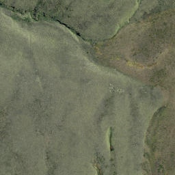 Satellite imagery of Carsons Rock, NZ