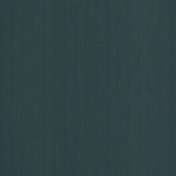 Satellite imagery of Punta Pangal, CL