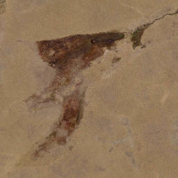 Satellite imagery of The Ship at Anchor, NZ