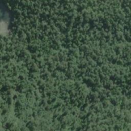 Satellite imagery of Punta Pangal, CL