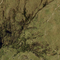 Satellite imagery of Horse Shoe Spur, NZ